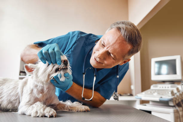 Best Urgent Care for Lost Fillings or Crowns in East Gaffney, SC